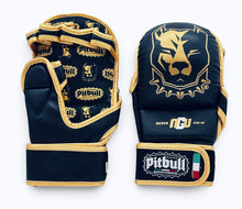 Carica l'immagine nel visualizzatore di Gallery, Guanti MMA Fight & Sparring 7 oz Nero Oro