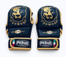 Carica l'immagine nel visualizzatore di Gallery, Guanti MMA Fight & Sparring 7 oz Nero Oro