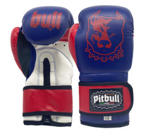 Carica l'immagine nel visualizzatore di Gallery, Guantoni Boxe Fight Junior 6 once Blu