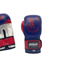 Carica l'immagine nel visualizzatore di Gallery, Guantoni Boxe Fight Junior 6 once Blu