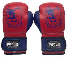 Carica l'immagine nel visualizzatore di Gallery, Guantoni Boxe Fight Junior 6 once Rosso