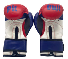 Carica l'immagine nel visualizzatore di Gallery, Guantoni Boxe Fight Junior 6 once Rosso