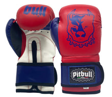 Carica l'immagine nel visualizzatore di Gallery, Guantoni Boxe Fight Junior 6 once Rosso