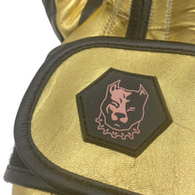 Carica l'immagine nel visualizzatore di Gallery, Guantoni Boxe Profight Oro 10 Once