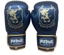 Carica l'immagine nel visualizzatore di Gallery, Guantoni Boxe Fight V2 Nero-Oro 10 Once