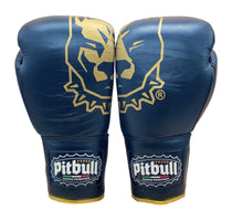 Carica l'immagine nel visualizzatore di Gallery, Guantoni Boxe Profight Lacci Neri 10 OZ