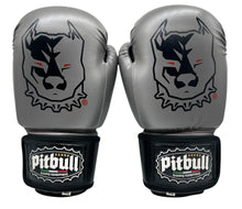 Carica l'immagine nel visualizzatore di Gallery, Guantoni Pitbull "Impact-X" Pro Leather – 14oz