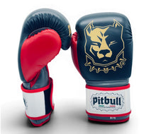 Carica l'immagine nel visualizzatore di Gallery, Guantoni Boxe Fight X-Strap Nero Iron 10 Once