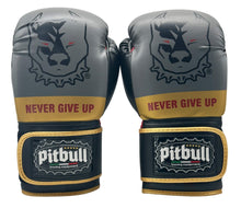 Carica l'immagine nel visualizzatore di Gallery, Guantoni Boxe Fight V2 Oro-grigio 12 Once