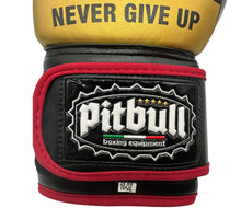 Carica l'immagine nel visualizzatore di Gallery, Guantoni Boxe Fight V2 Oro-nero 12 Once