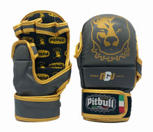 Carica l'immagine nel visualizzatore di Gallery, Guanti Mma Sparring Iron Oro