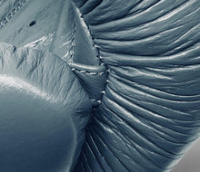 Carica l'immagine nel visualizzatore di Gallery, Guantoni Boxe Pitbull KINETIC COMPACT-14
