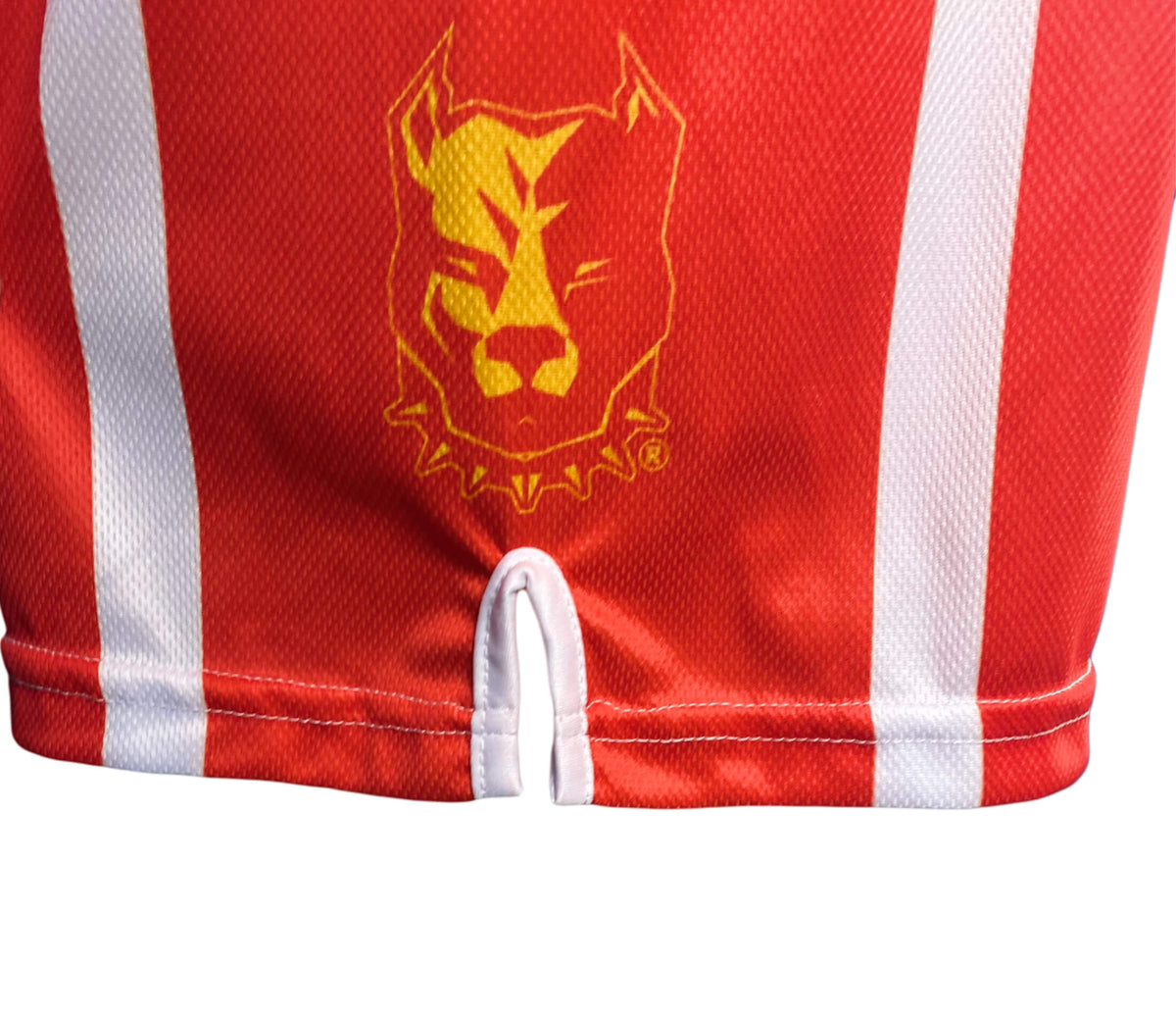 Pitbull Elite Performance Boxing Set Red