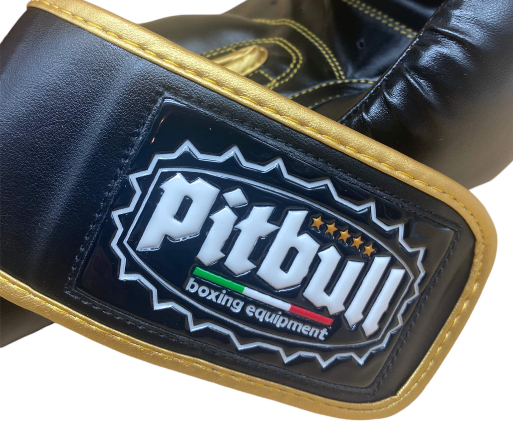 Trainer V2 Boxing Gloves Black-Gold 16 oz