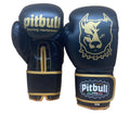 Fight V2 Boxing Gloves Black-Gold 14 oz