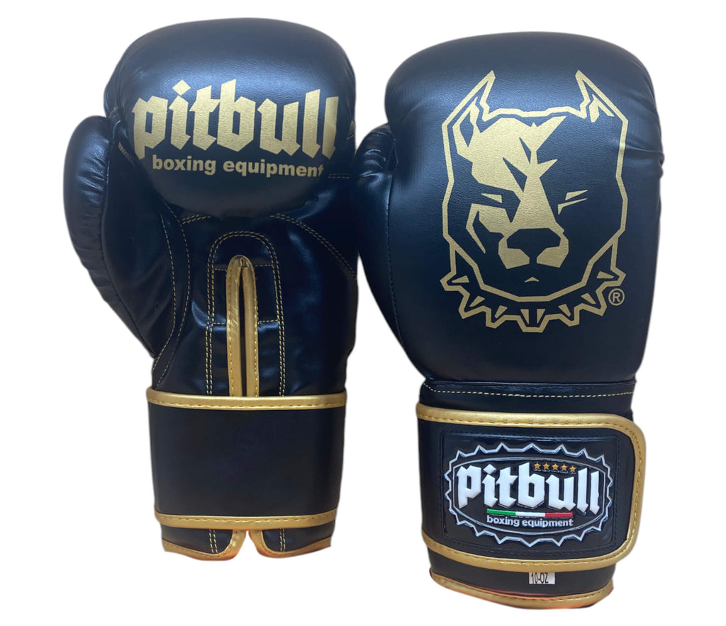 Trainer V2 Boxing Gloves Black-Gold 16 oz
