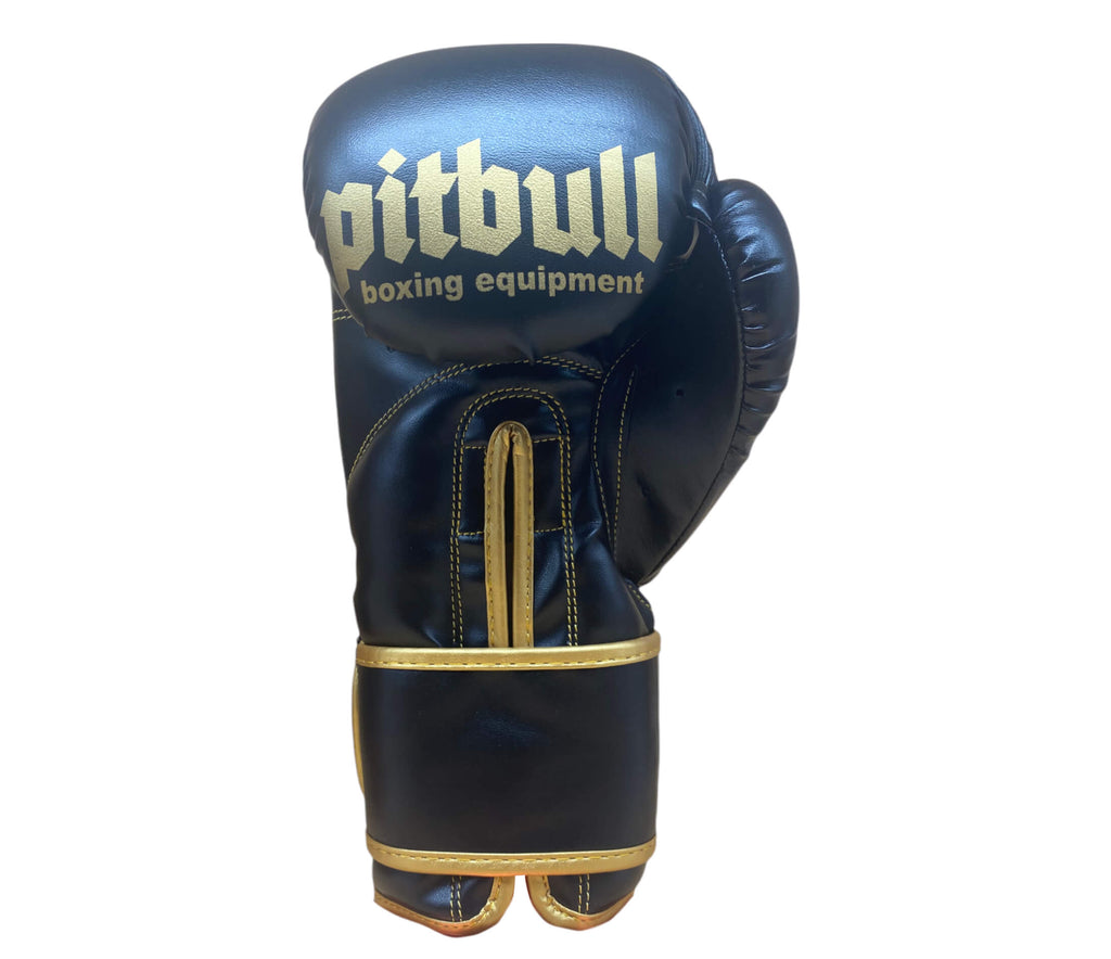 Trainer V2 Boxing Gloves Black-Gold 16 oz