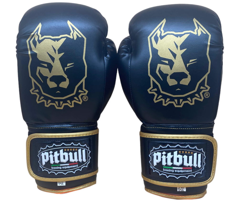 Trainer V2 Boxing Gloves Black-Gold 16 oz