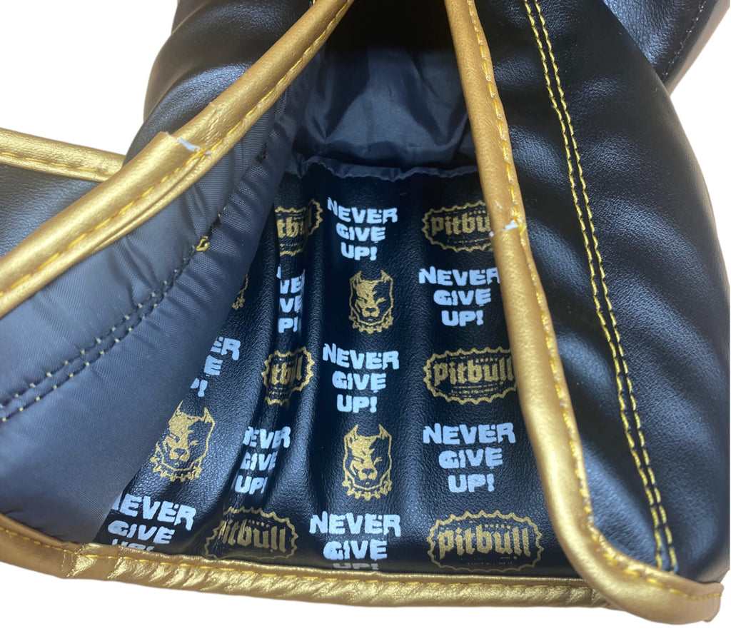 Fight V2 Boxing Gloves Black-Gold 14 oz