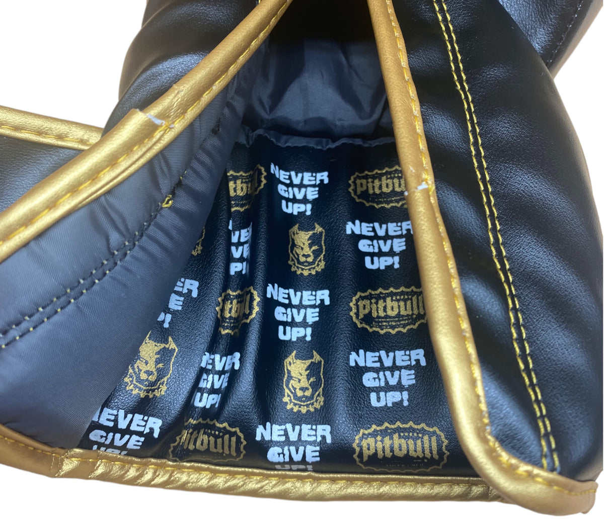Fight V2 Boxing Gloves Black-Gold 14 oz