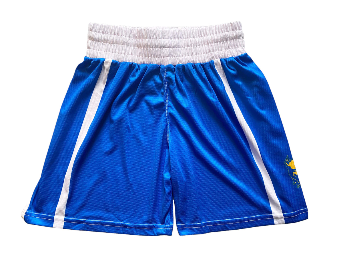 Pitbull Boxing Equipment Complete Boxing Set Pitbull Elite Performance Blue