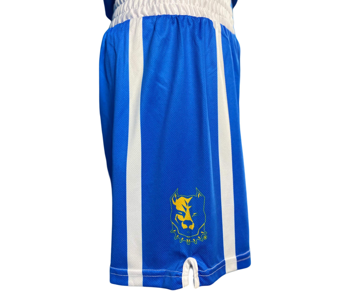 Pitbull Boxing Equipment Complete Boxing Set Pitbull Elite Performance Blue
