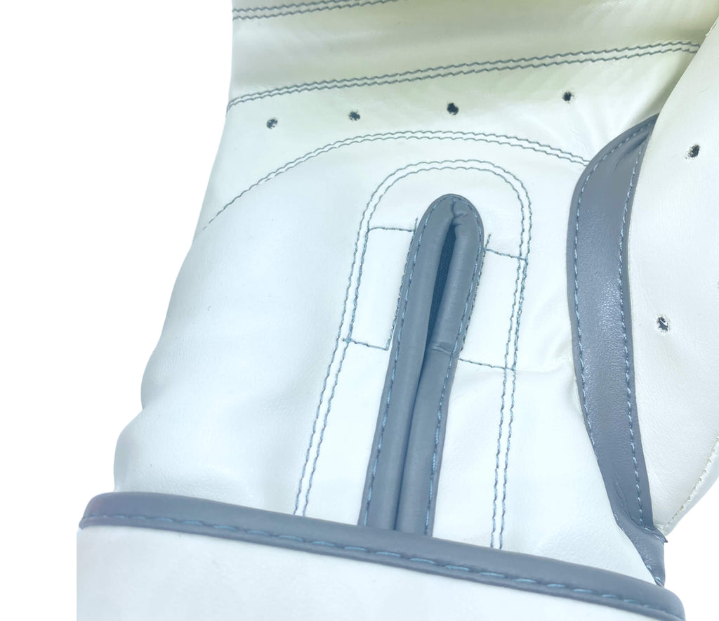 Fight V2 Boxing Gloves White-Iron 10 oz