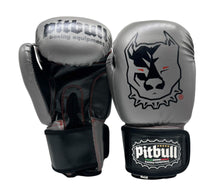 Carica l'immagine nel visualizzatore di Gallery, Guantoni Pitbull "Impact-X" Pro Leather – 14oz
