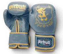 Carica l'immagine nel visualizzatore di Gallery, Guantoni Boxe Fight V2 Iron Oro 10 Once
