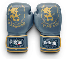 Carica l'immagine nel visualizzatore di Gallery, Guantoni Boxe Fight V2 Iron Oro 10 Once
