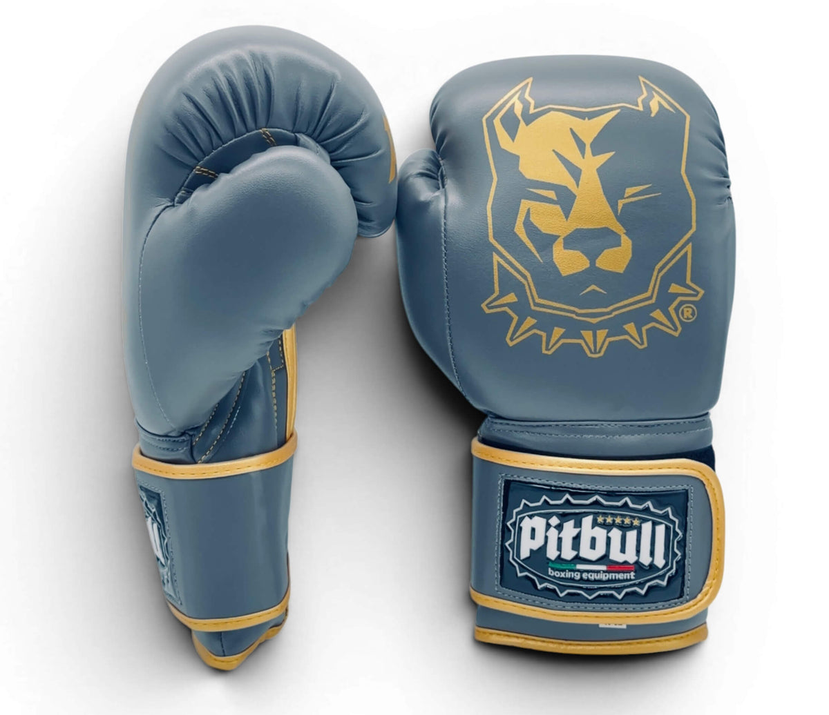Guantoni Boxe Fight V2 Iron Oro 10 Once