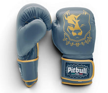 Carica l'immagine nel visualizzatore di Gallery, Guantoni Boxe Fight V2 Iron Oro 10 Once
