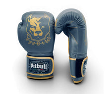 Carica l'immagine nel visualizzatore di Gallery, Guantoni Boxe Fight V2 Iron Oro 10 Once
