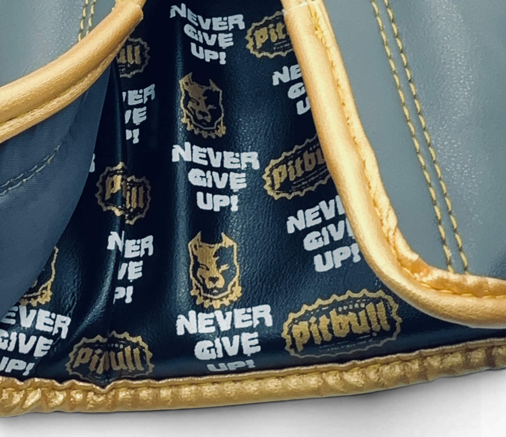 Fight V2 Iron Gold Boxing Gloves 10 oz