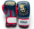 Fight X-Strap Boxing Gloves Black Iron 10 oz