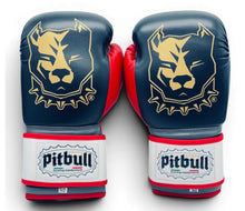Carica l'immagine nel visualizzatore di Gallery, Guantoni Boxe Fight X-Strap Nero Iron 10 Once
