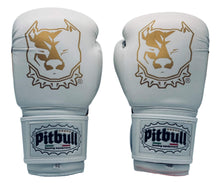 Carica l&#39;immagine nel visualizzatore di Gallery, Guantoni Boxe Fight X-Strap Bianco 10 Once v2
