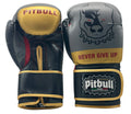 Fight V2 Boxing Gloves Gold-Grey 12 oz