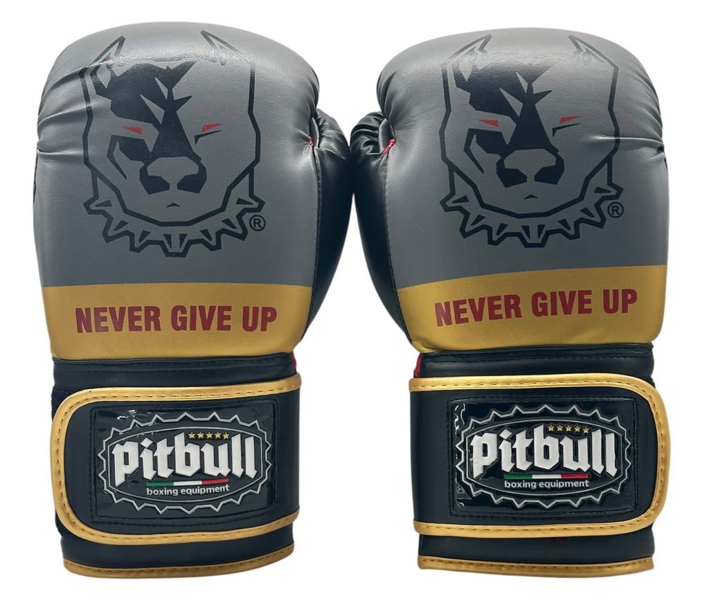 Fight V2 Boxing Gloves Gold-Grey 12 oz