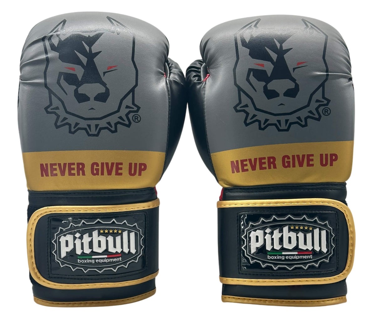Guantoni Boxe Fight V2 Oro-grigio 12 Once