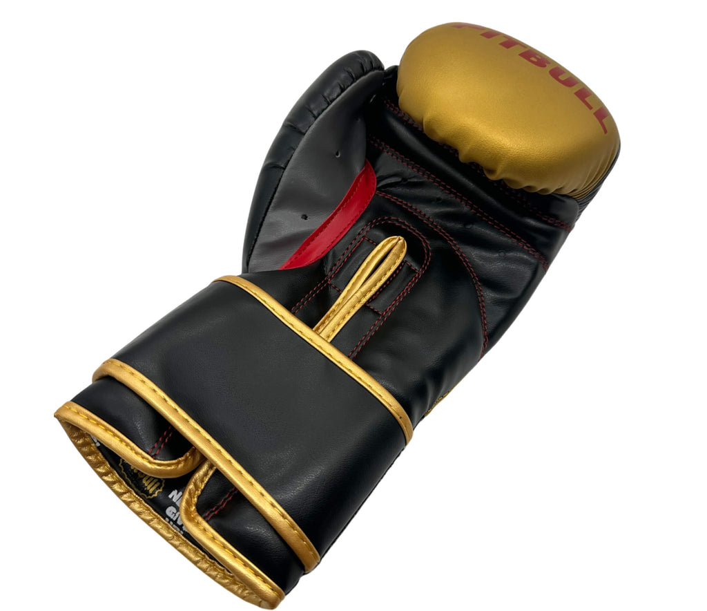 Fight V2 Boxing Gloves Gold-Grey 12 oz