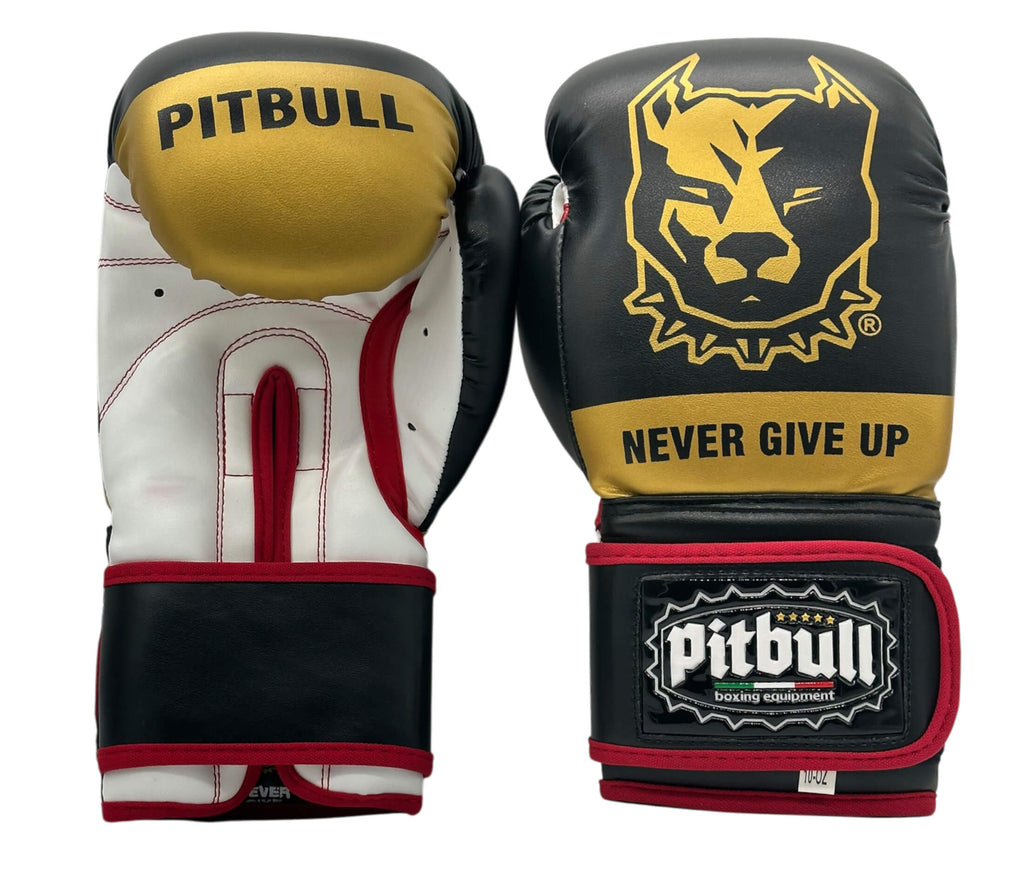 Fight V2 Boxing Gloves Gold-Black 12 oz