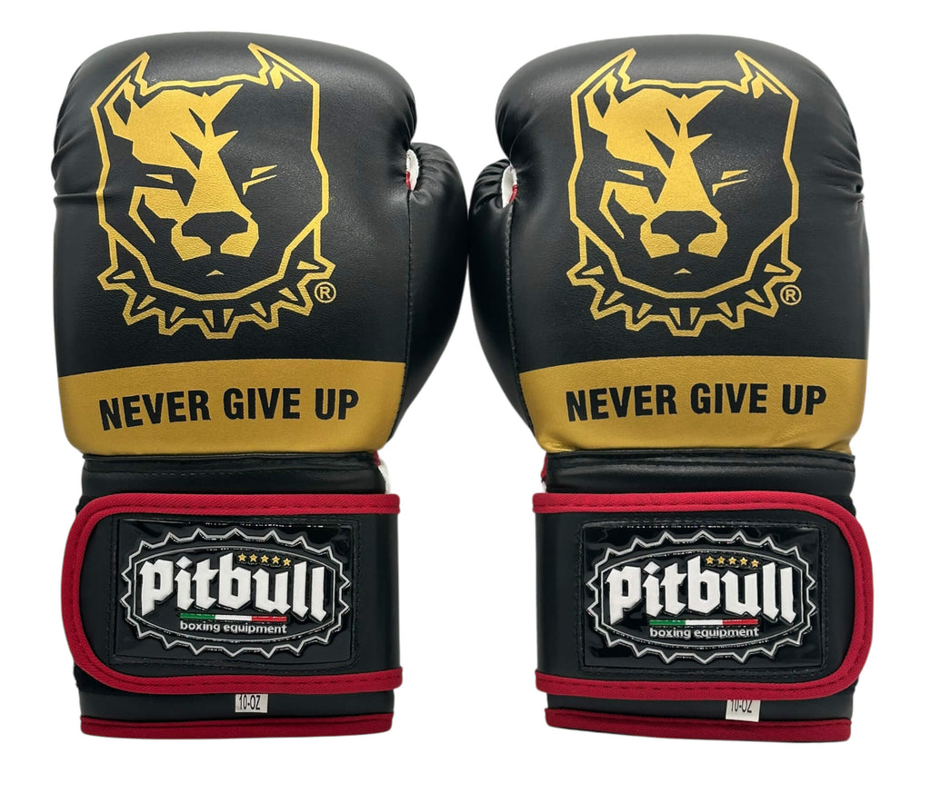 Fight V2 Boxing Gloves Gold-Black 12 oz