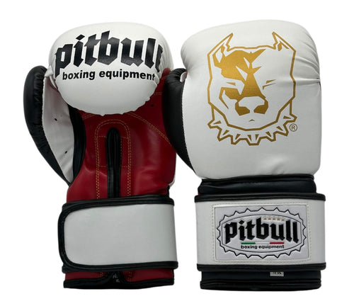 Guantoni da Boxe HuaLaan Skintex Viola Guantoni da Boxe HuaLaan Skintex Viola