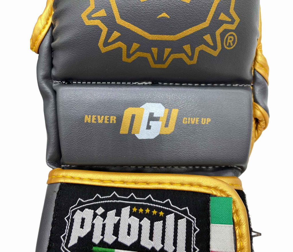 Iron Gold MMA Sparring Gloves