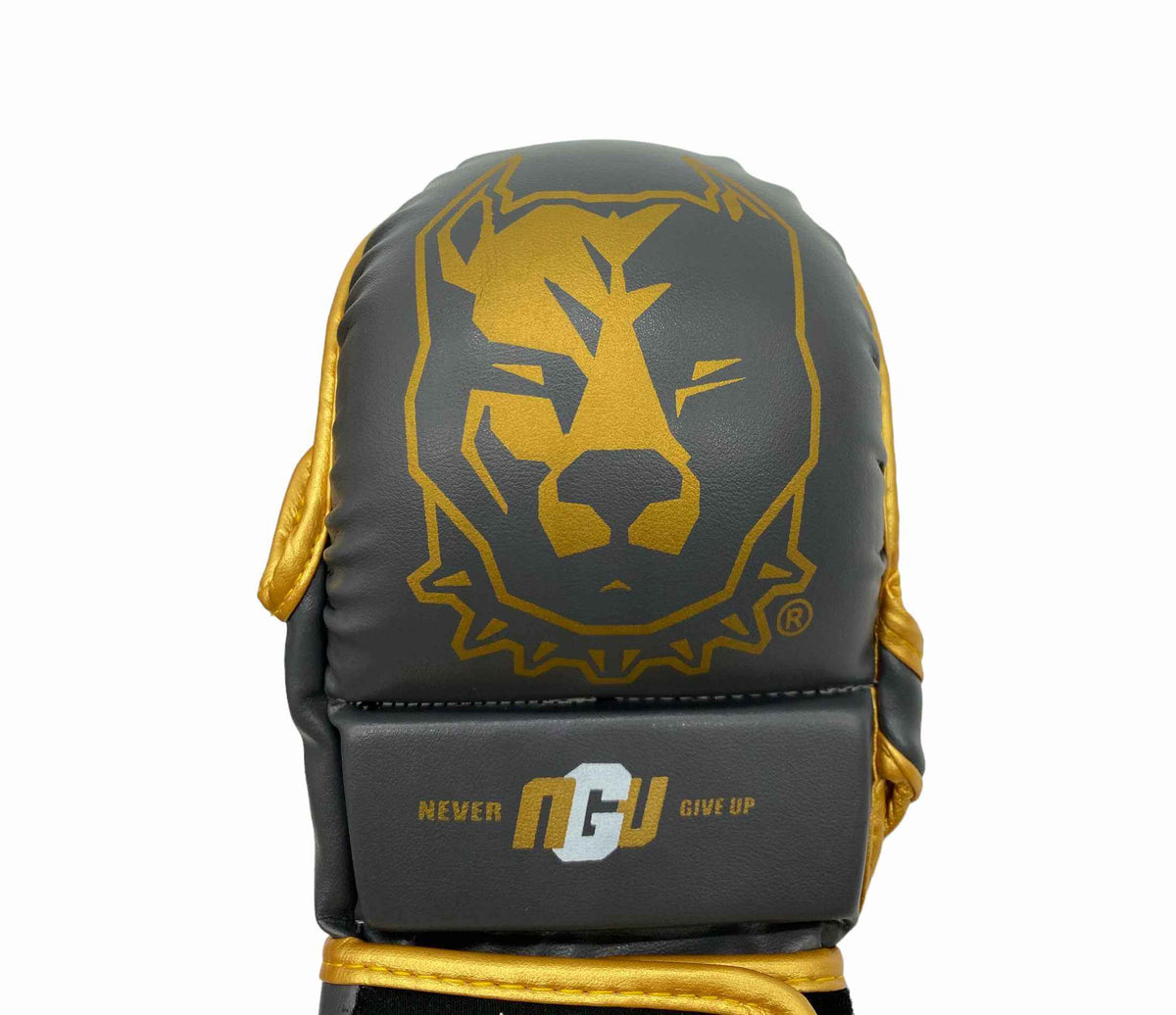 Iron Gold MMA Sparring Gloves