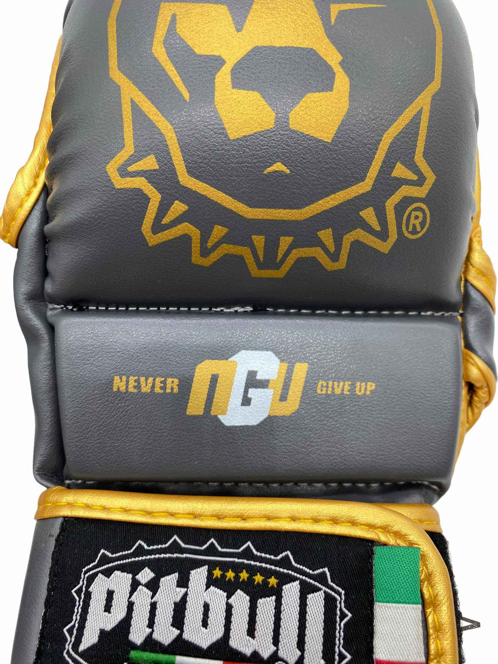 Iron Gold MMA Sparring Gloves