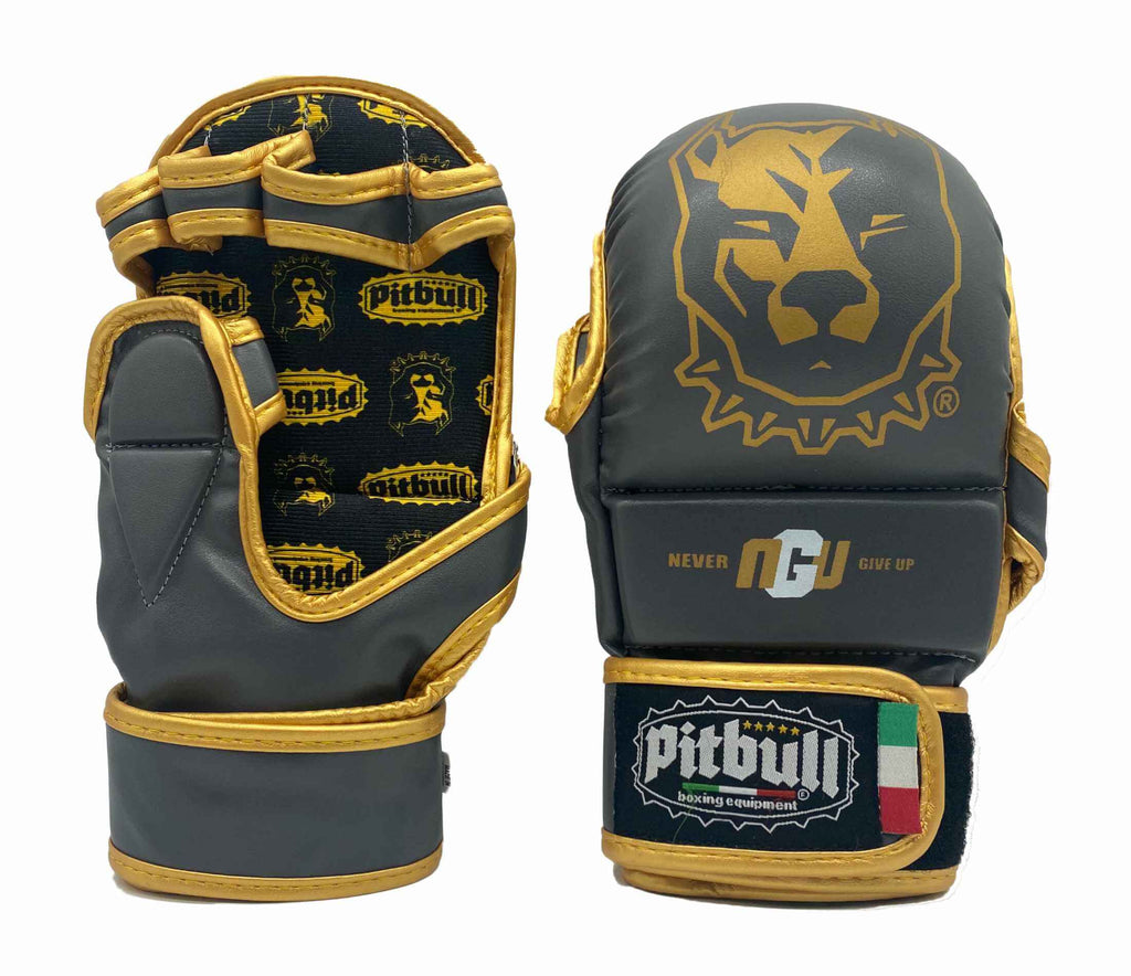 Iron Gold MMA Sparring Gloves